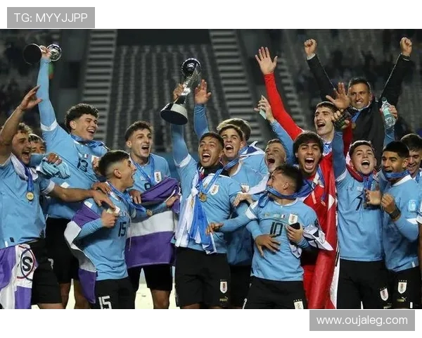 2014年世界杯乌拉圭与厄瓜多尔激战回顾及精彩瞬间分析