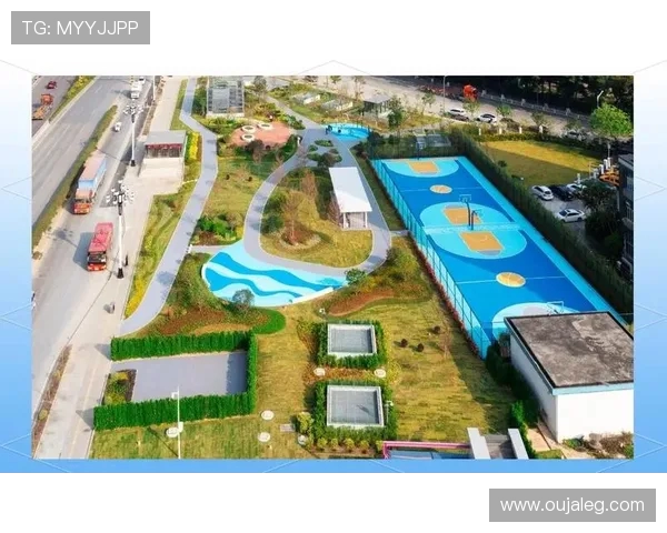 重庆足球队的蜕变与未来展望深度解析